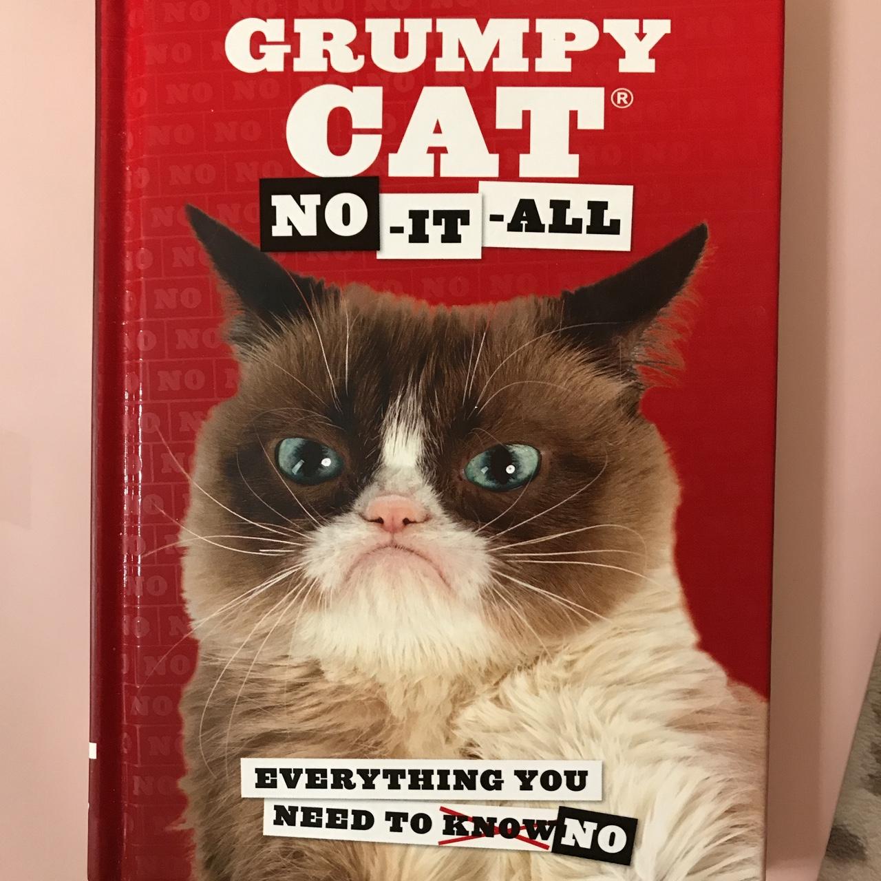 Grumpy cat hot sale no it all