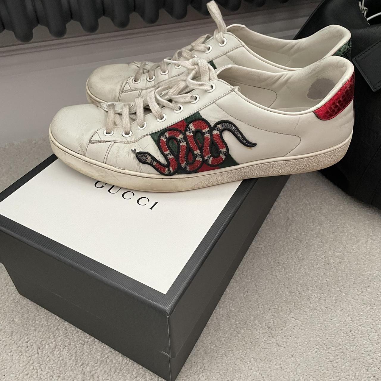 gucci snake trainers