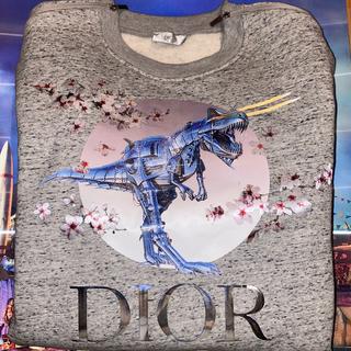 Dior hotsell dinosaur sweater