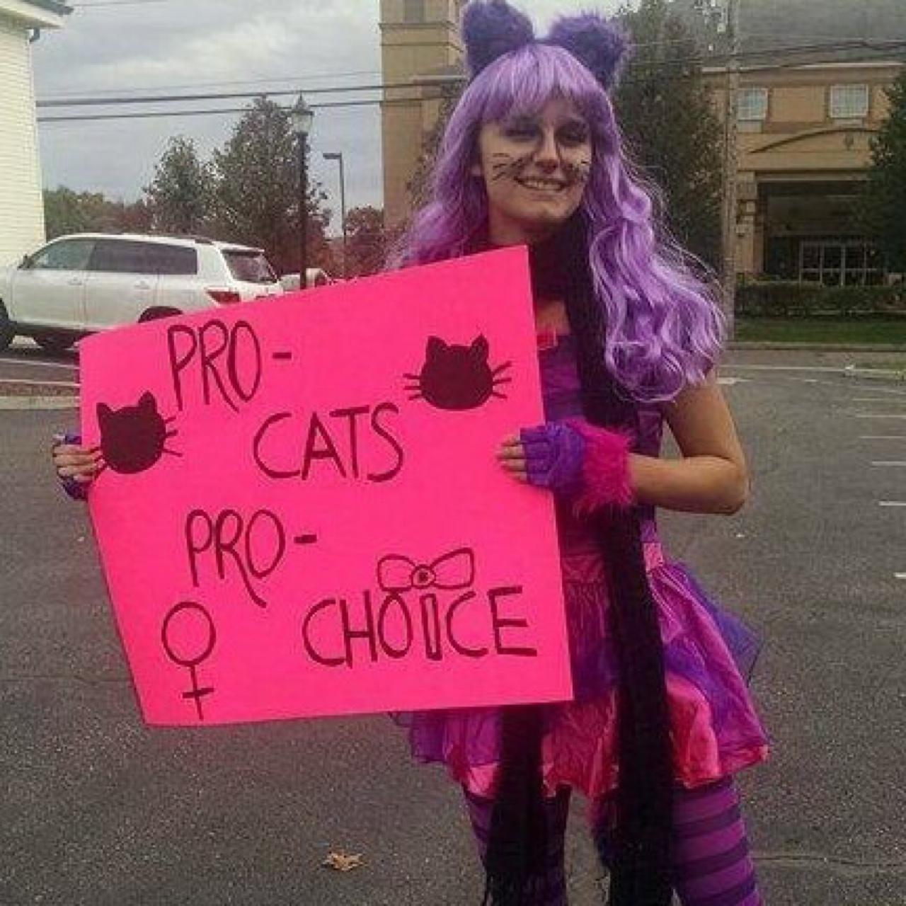 Cheshire Cat Costume Cats