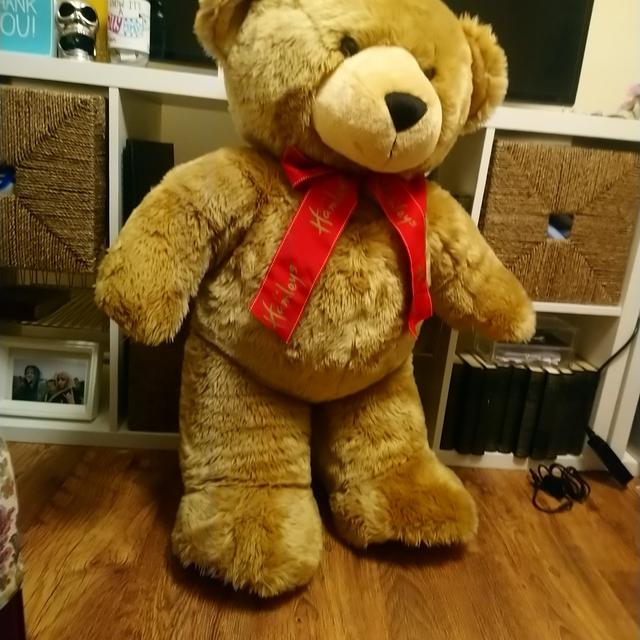 Hamleys large store teddy bear