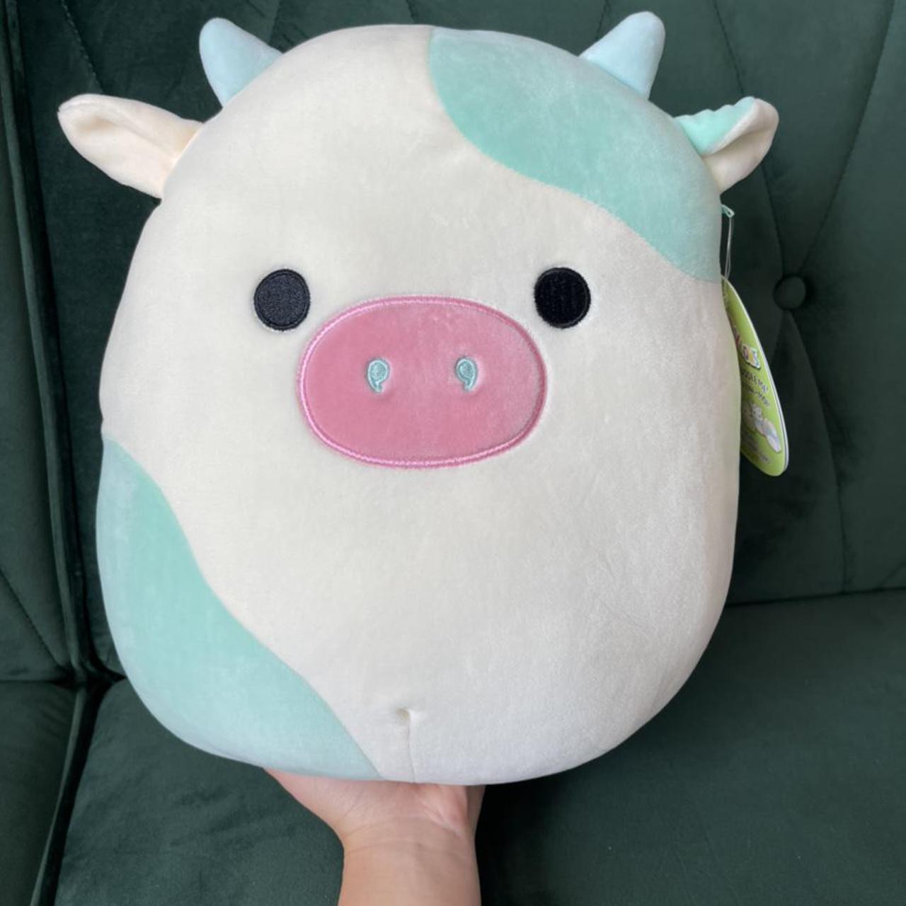 12” Belana the cow squishmallow for trade or sale... - Depop