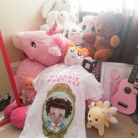 k12 melanie martinez merch tshirt🌸! in good - Depop