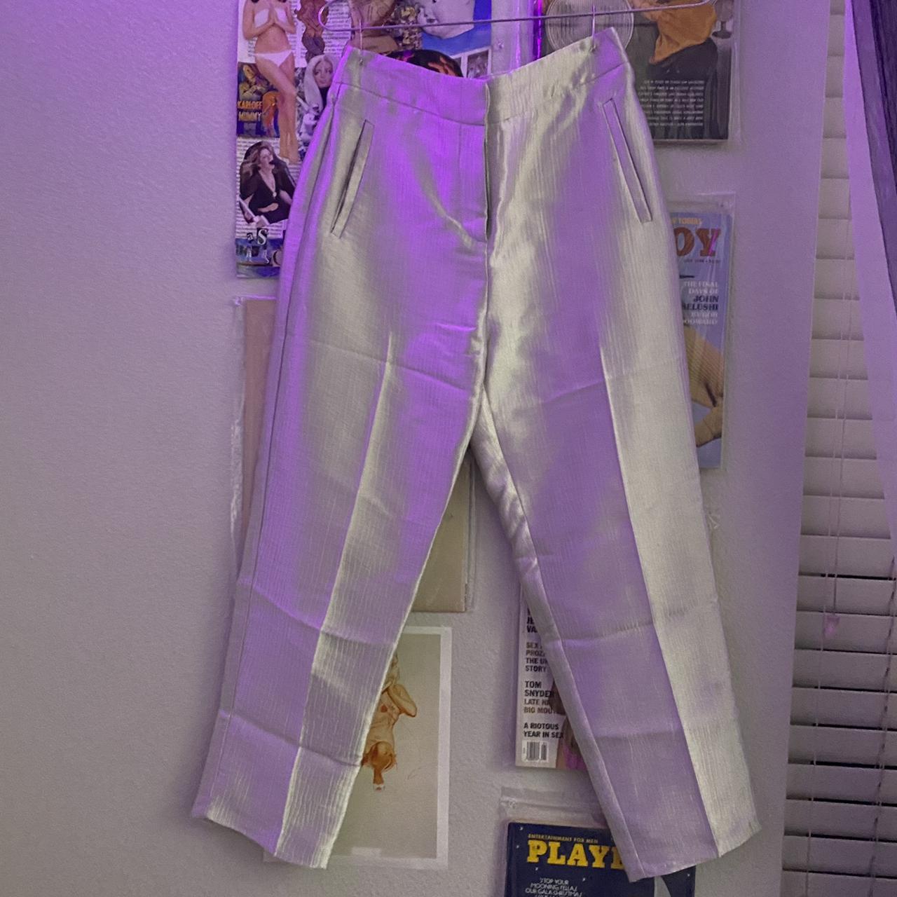 Shiny Metallic Leather Pant With Pocket – Attic Salt