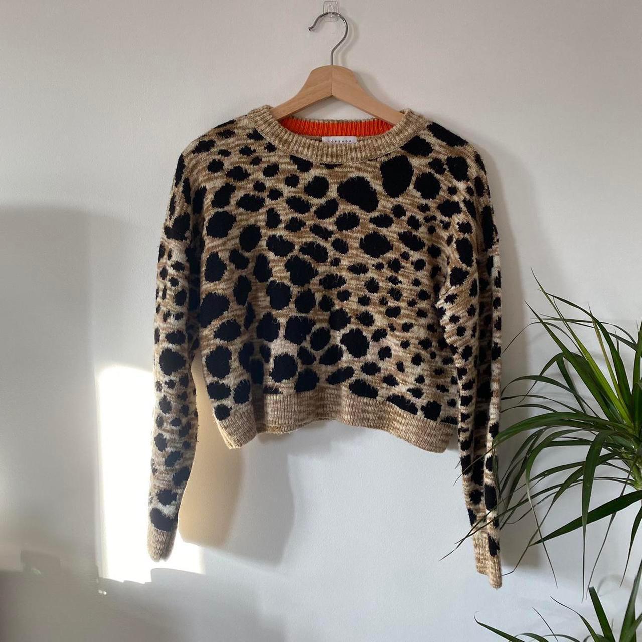 leopard print cropped jumper