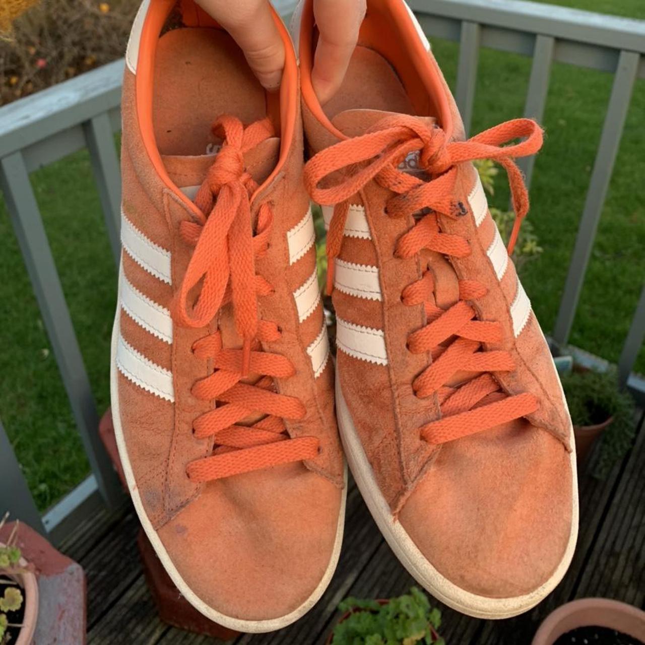 gazelle orange 2002