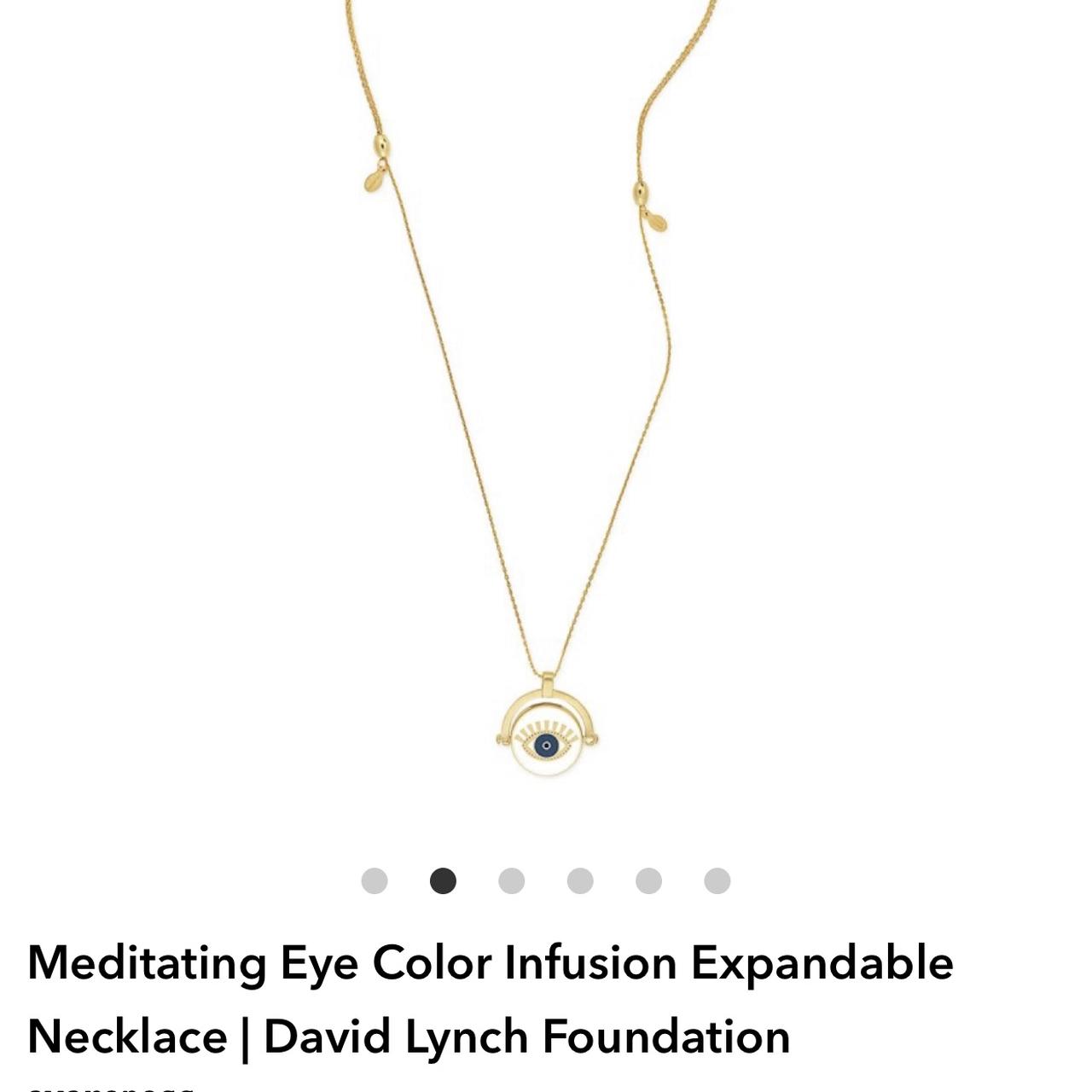 Alex and ani 2025 meditating eye necklace