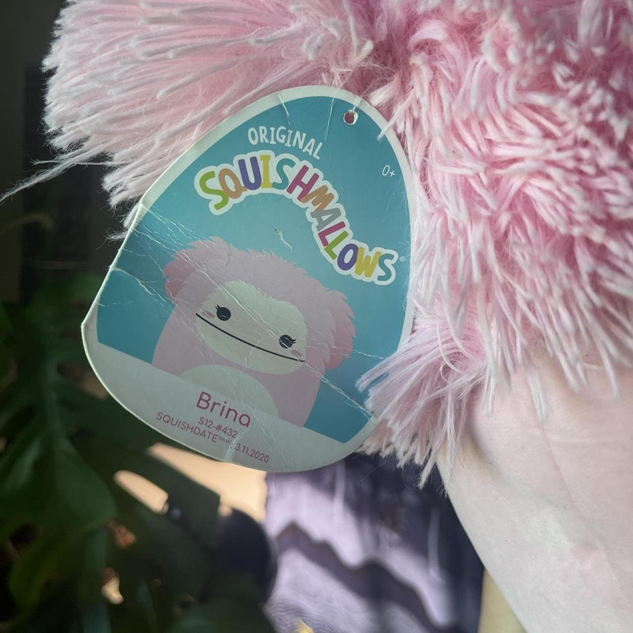 12 brina bigfoot squishmallow