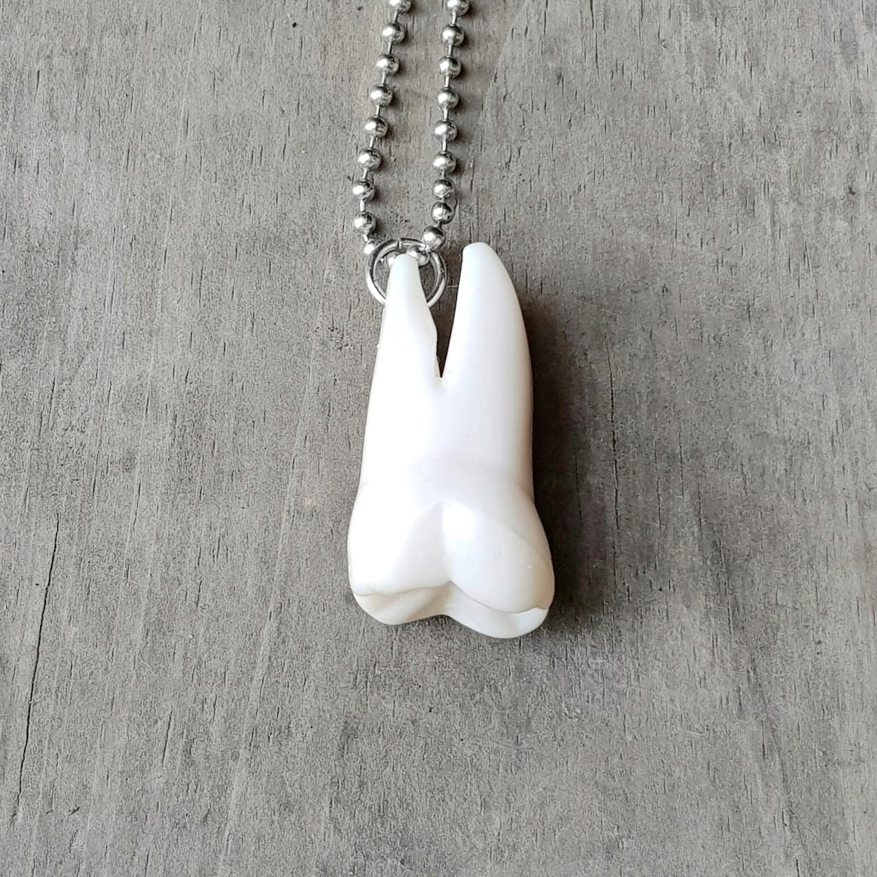 🦈We have REAL Megalodon Tooth Necklace's in stock!🦈 Visit us in store,  online, or give us a call if you have any… | Instagram