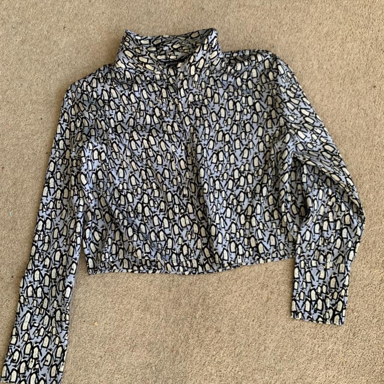 ZARA cropped, longsleeve collared shirt! It has a... Depop