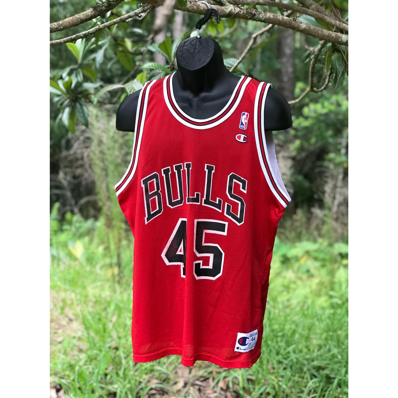 Champion Chicago Bulls Michael Jordan 45 Jersey. Depop