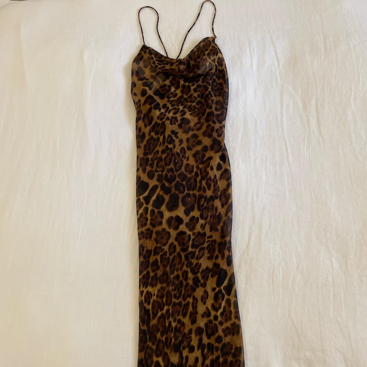 grrrls night leopard dress