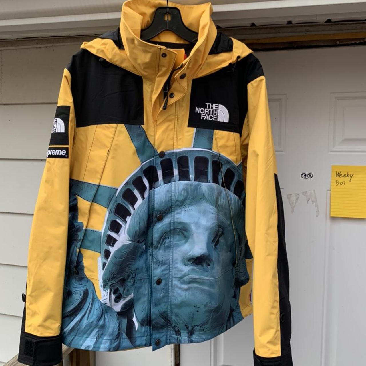 Supreme the north face Statue of Liberty mountain... - Depop