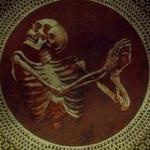 foxwrapped's profile picture
