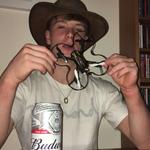 georgehonnor's profile picture