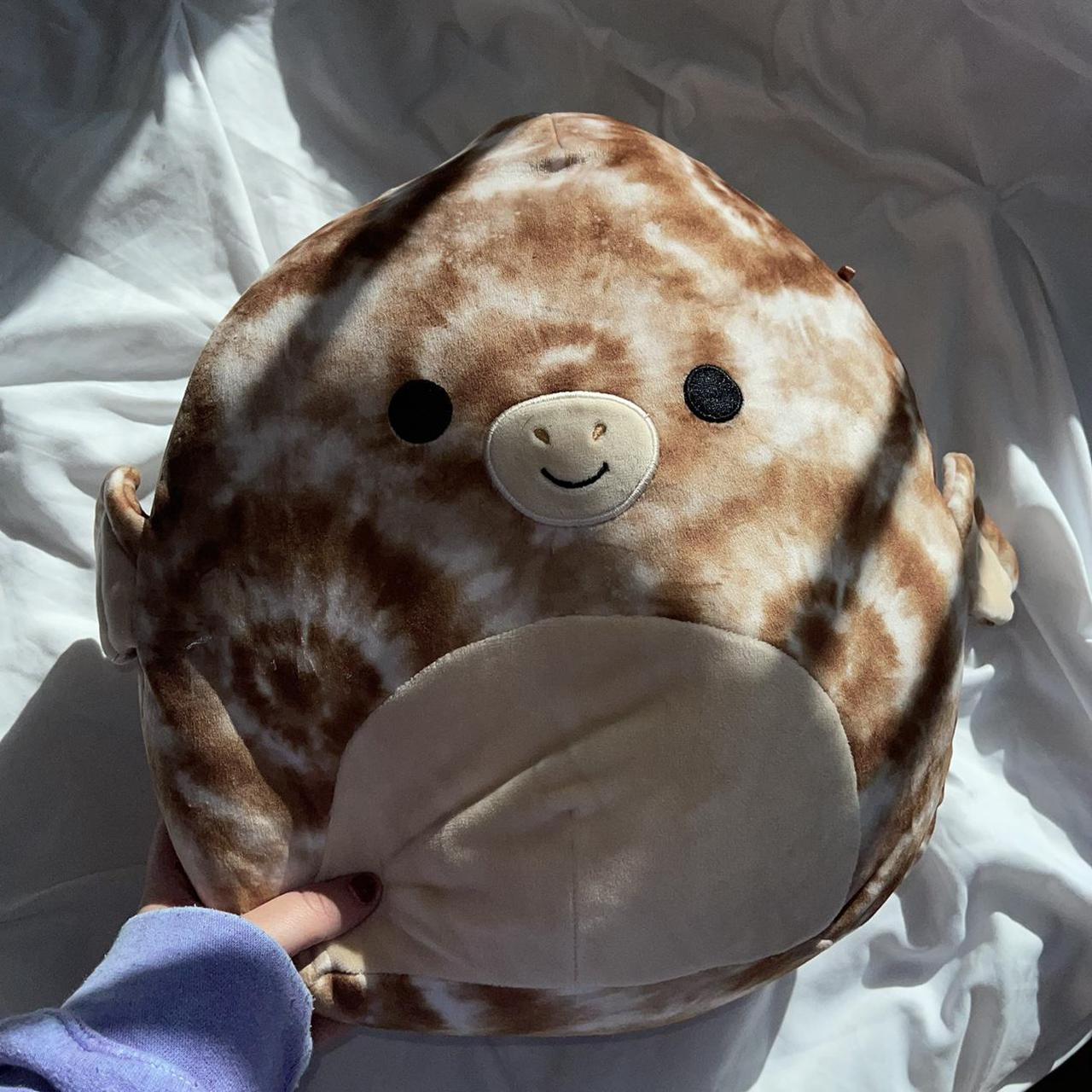 Product Image 3 - Squishmallows Edmund 12inch brown tye