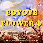 coyoteflowerthrift's profile picture