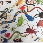 faitdusoleil's profile picture