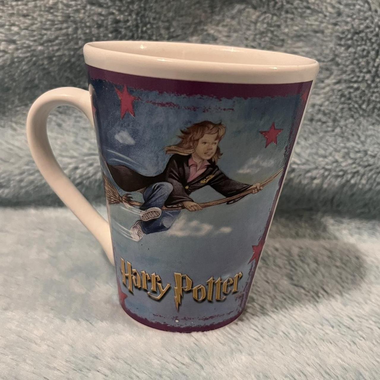 Harry Potter Purple and Blue (2)