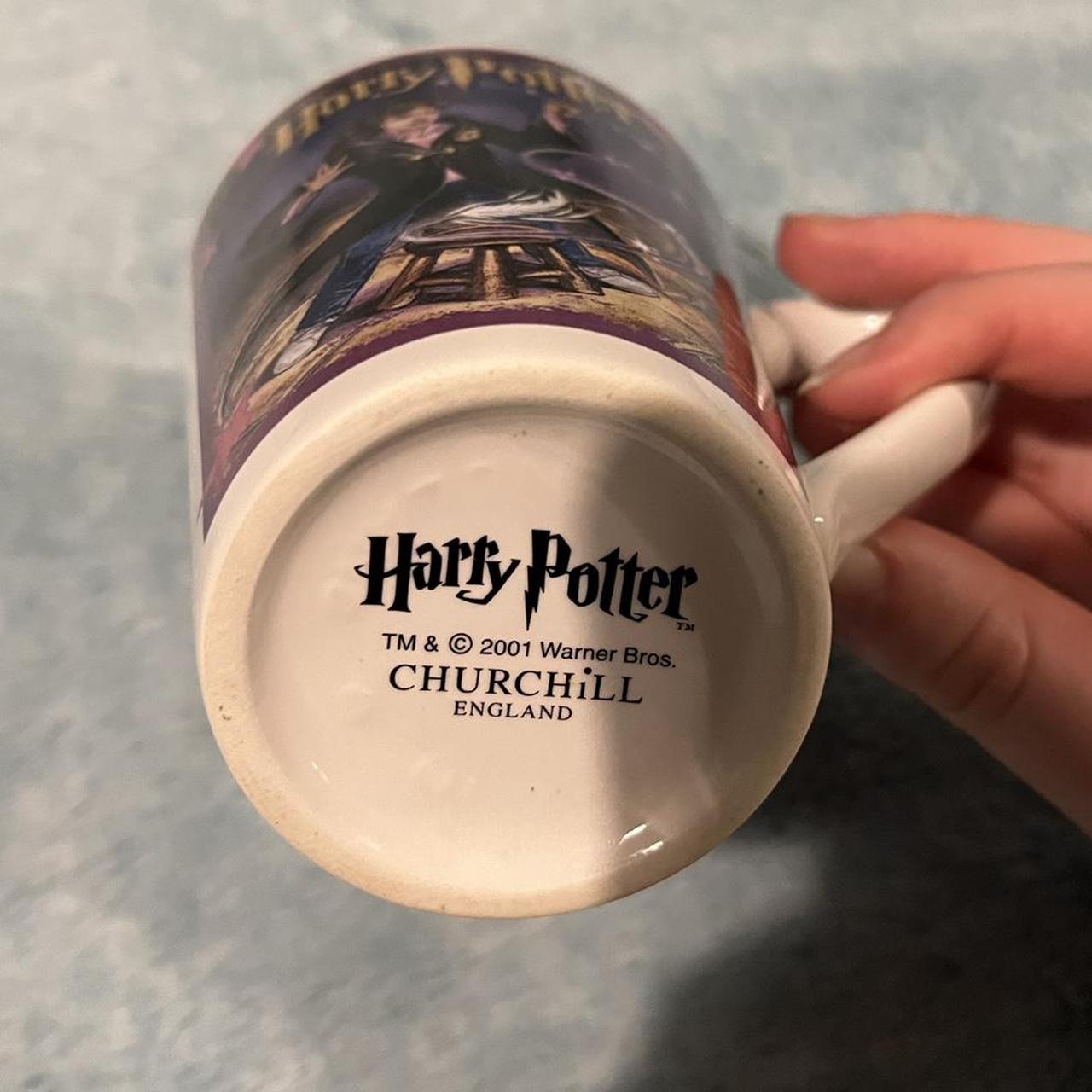 Harry Potter Purple and Blue (4)