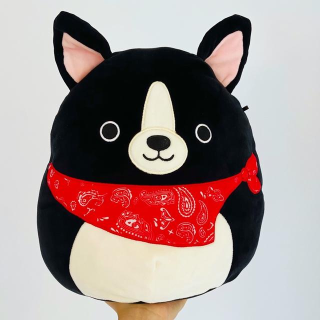 boston terrier squishmallow name