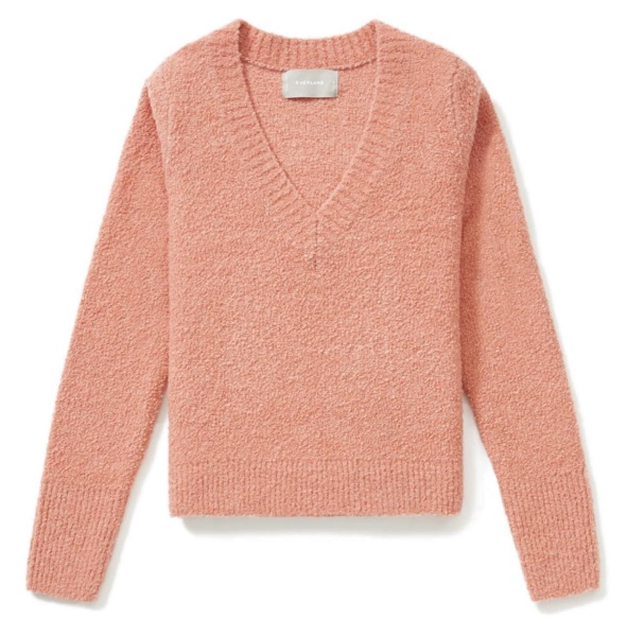 Everlane teddy wool discount sweater