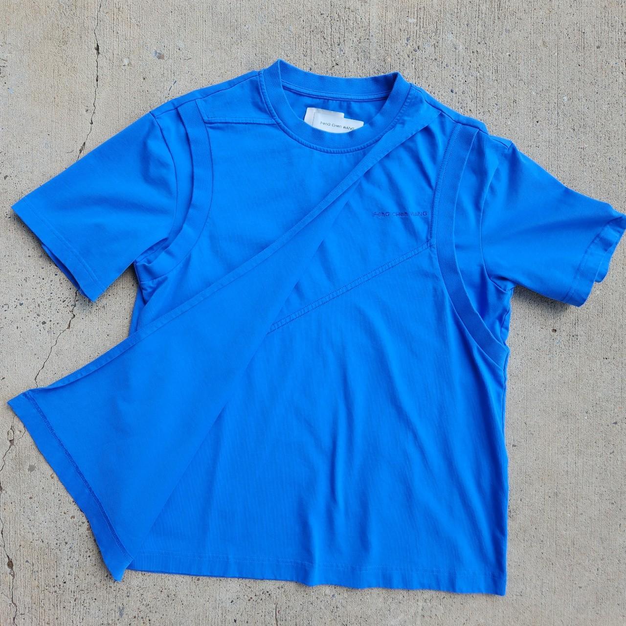 Product Image 1 - Feng Chen Wang Blue Paneled