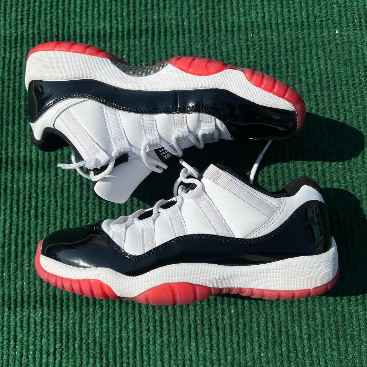 bred 11 6.5 y