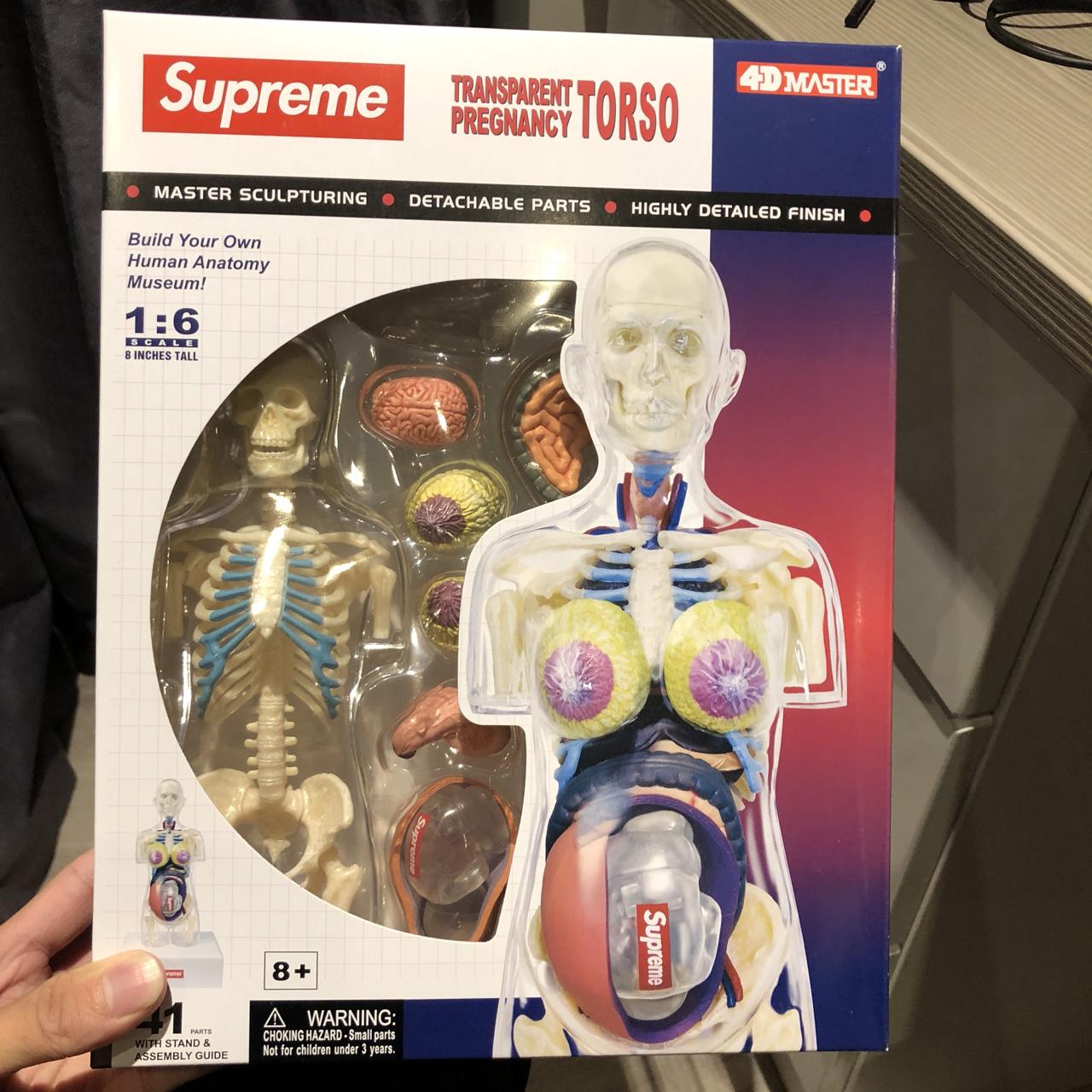 Supreme Female Anatomy Model Clear, - Dm me before...