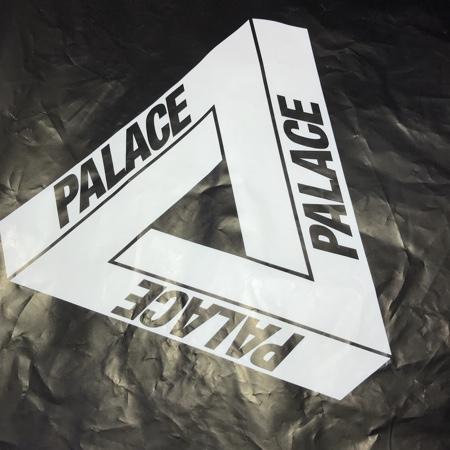 PALACE SKATEBOARDS Forrest Gump M t シャツ スポーツ