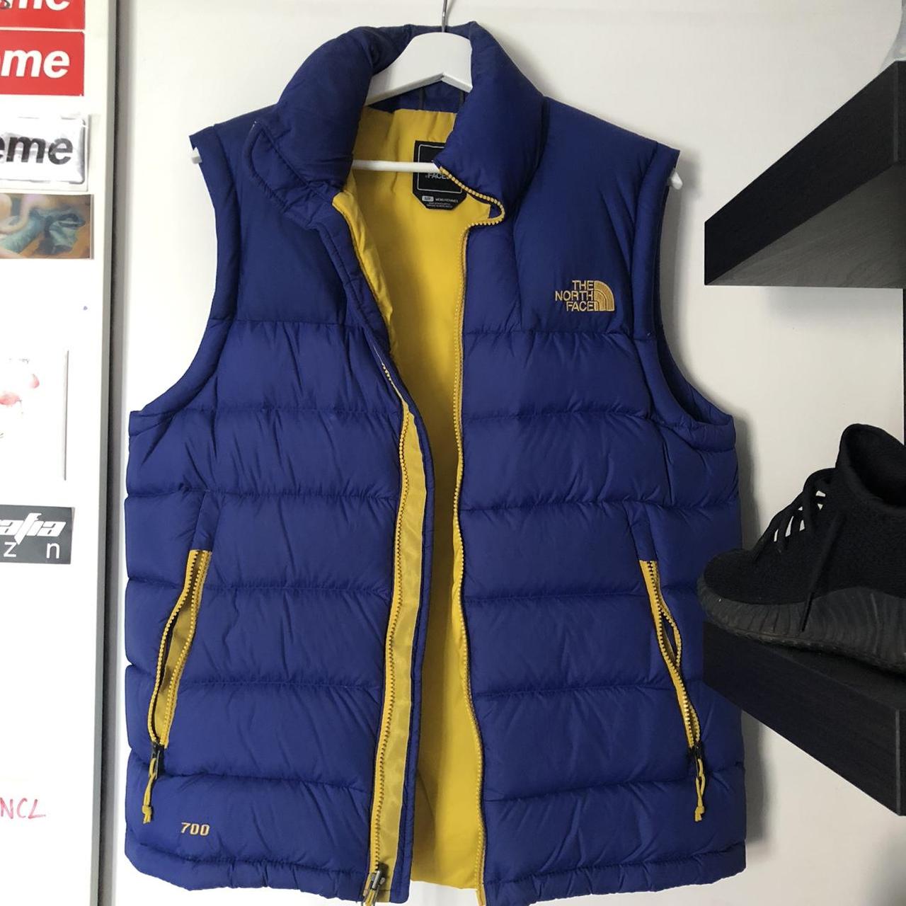 mens north face gilet 700