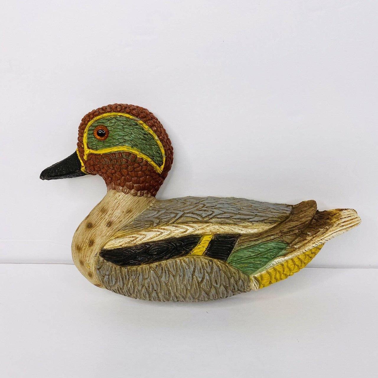 Cultured Wood Duck Wall Art by Frankies Designs... Depop