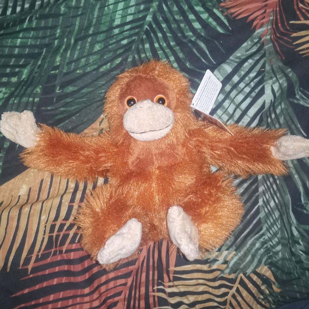 Orangutan soft top toy iceland