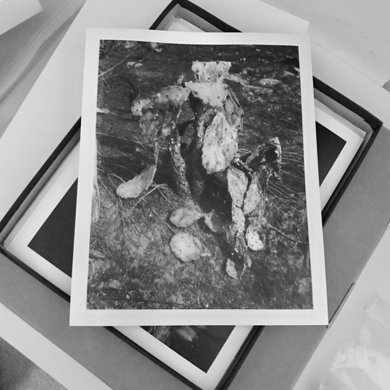 Product Image 1 - 10 x 8 photographic hand