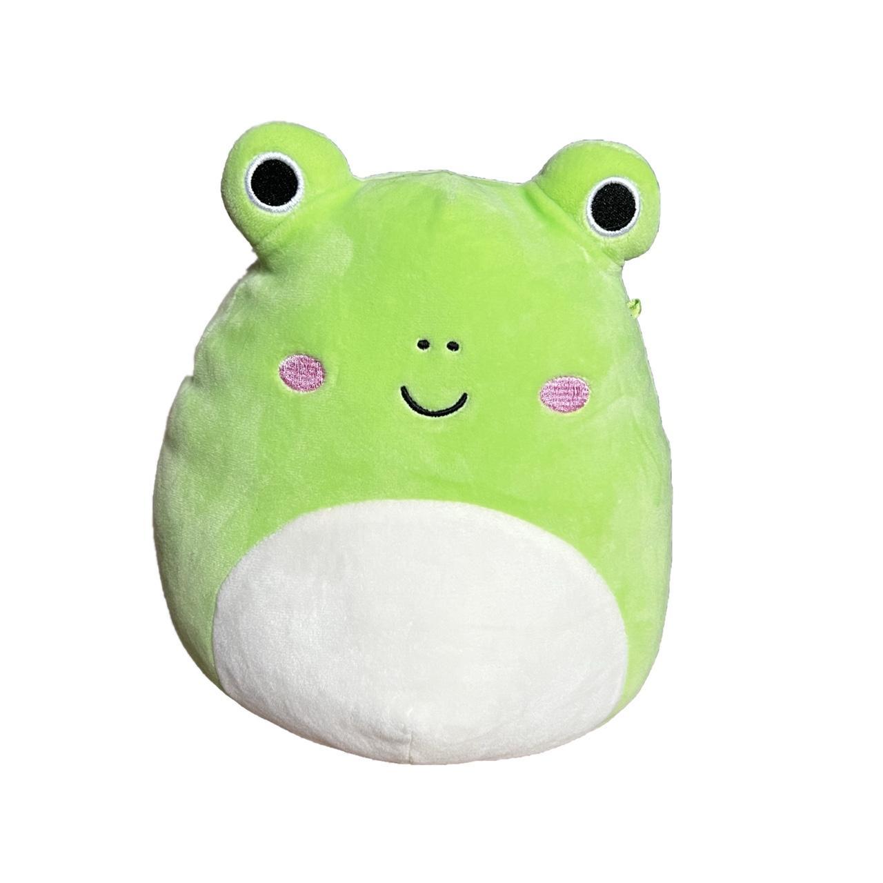 Squishmallows 8’ Wendy the Frog... - Depop