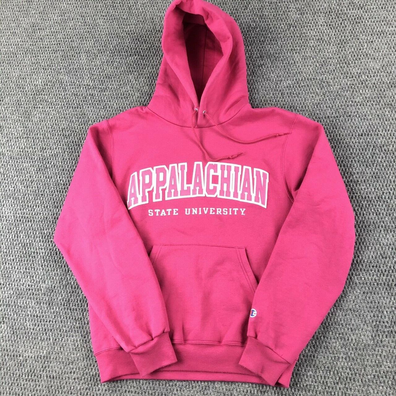 Mens pink hoodie online champion