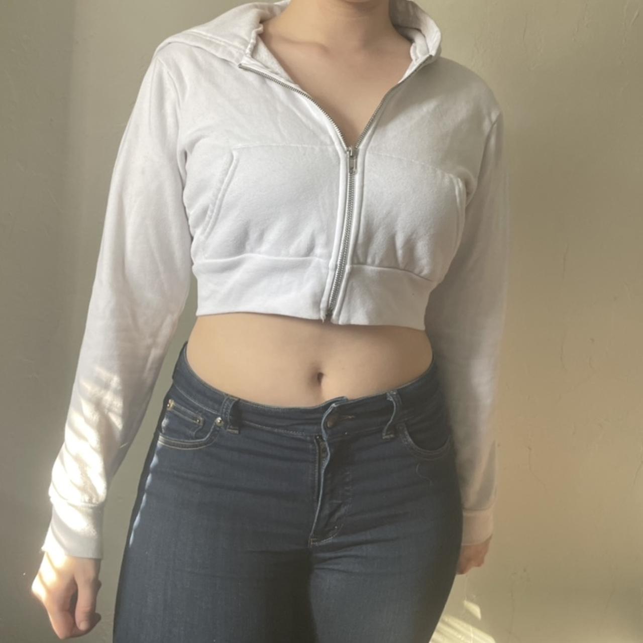 American apparel best sale cropped hoodie