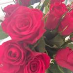 lrxdxge's profile picture