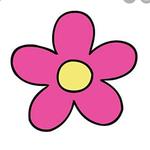 scwarren's profile picture