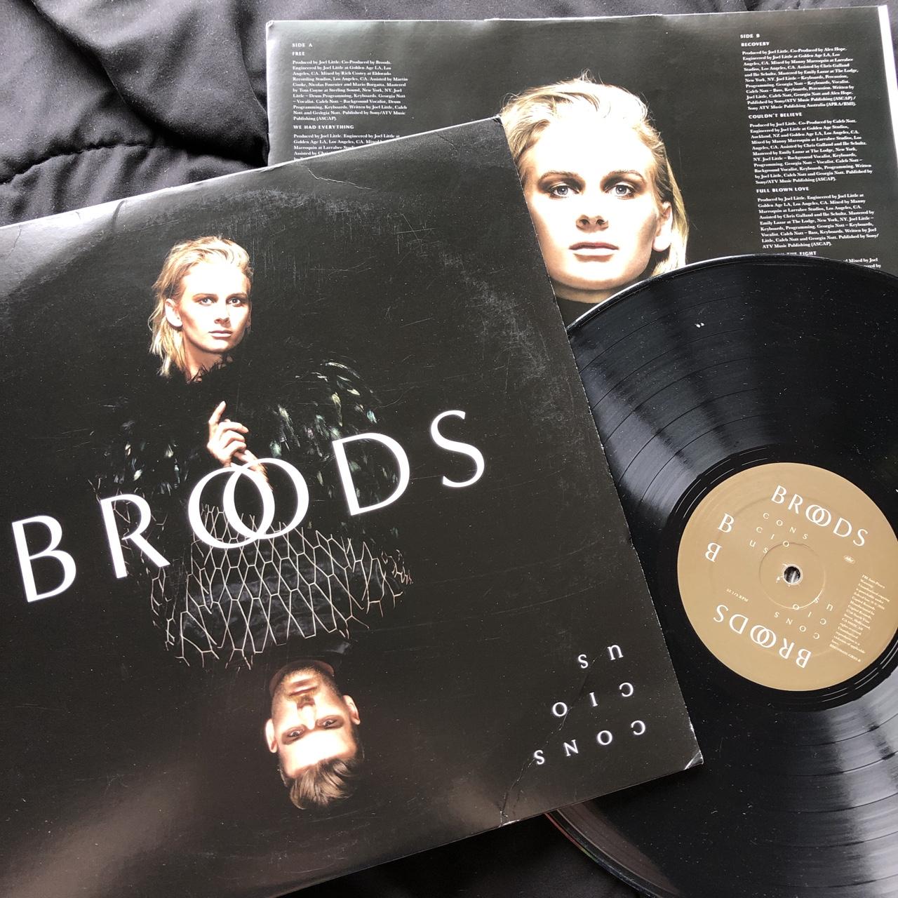 FREE SHIPPING broods conscious black vinyl record... - Depop