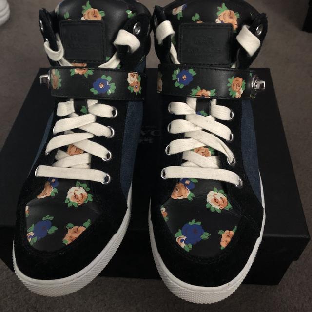 Coach pembroke hot sale sneaker