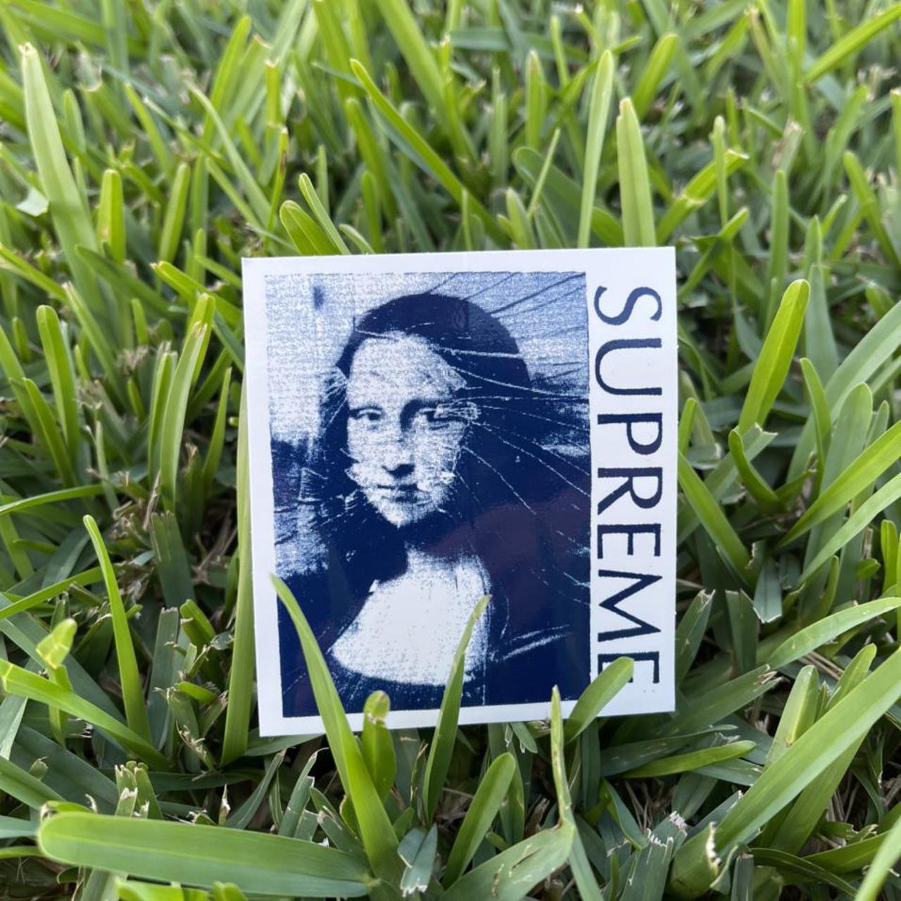 Supreme Mona Lisa sticker #supreme #bape Depop