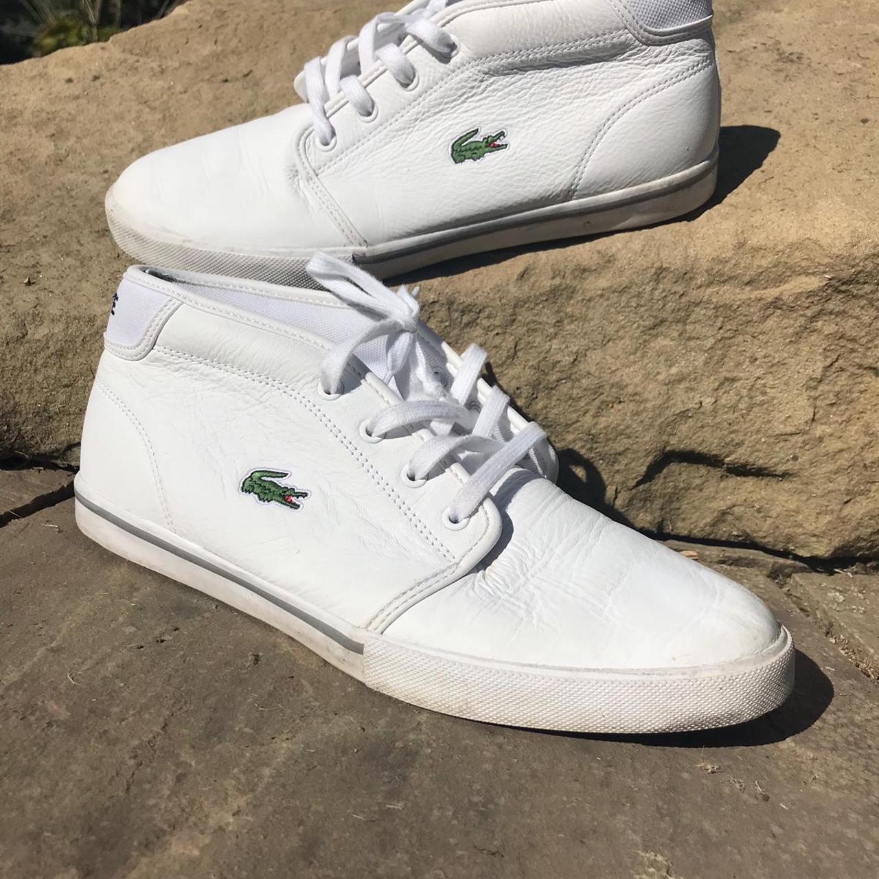 Lacoste on sale ampthill mens