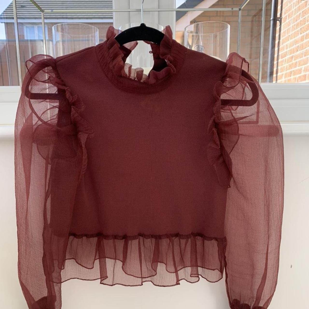 Zara burgundy top with mesh sleeves. Size xs RRP £35 - Depop