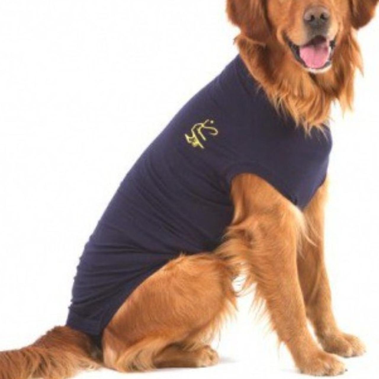 Mps clearance pet shirt