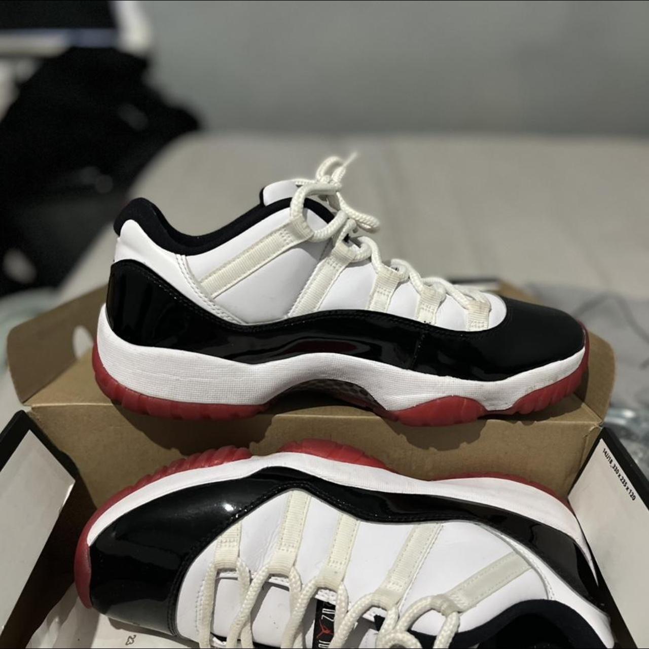 concord breds 11 low