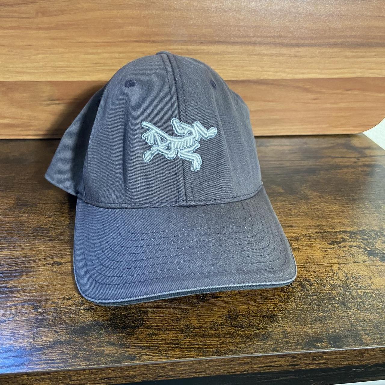 RARE Vintage Arcteryx Bird Fitted Baseball Cap... - Depop