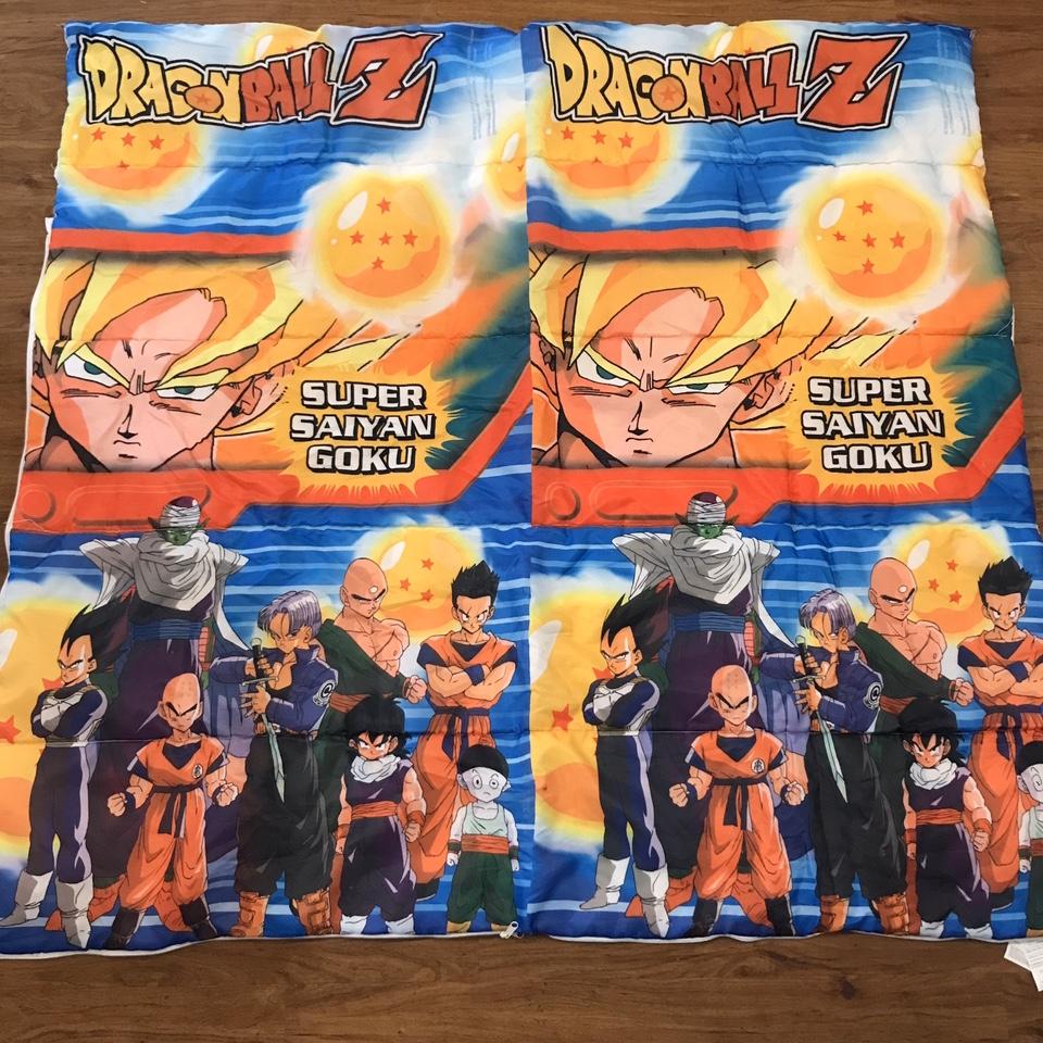 DBZ Backpack used, cleaned, stitching almost - Depop