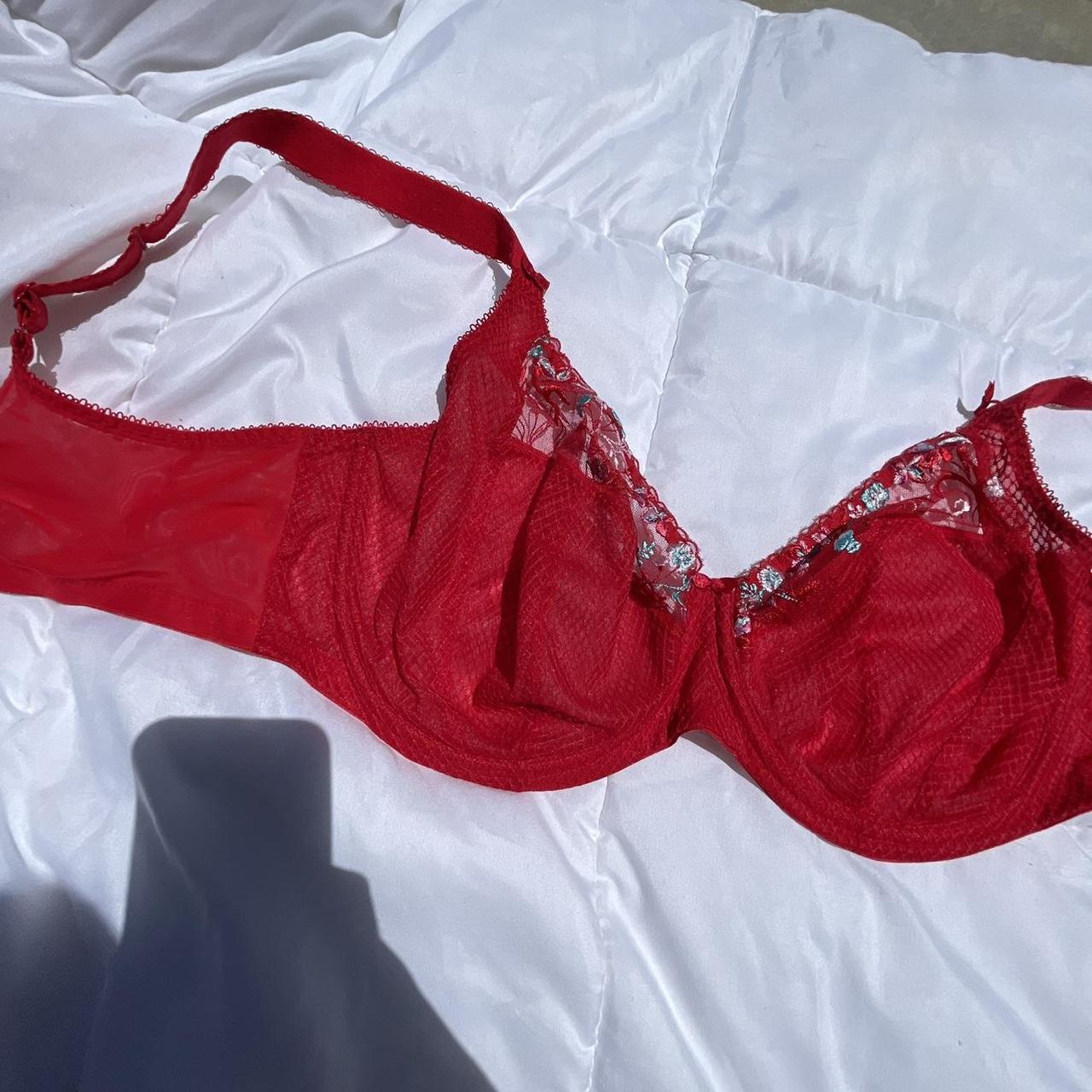 Product Image 2 - Elomi Red Floral Delicate Mesh