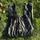 item listed by cepheus22